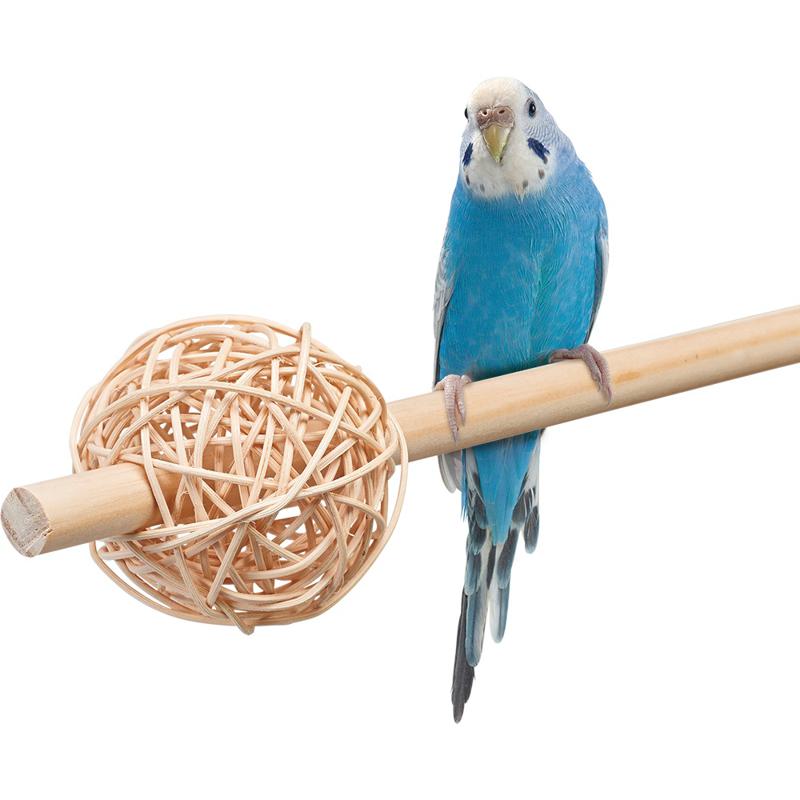 【セット販売】 CASA 小鳥の遊び場 フォージングボール (×8セット) マルカン