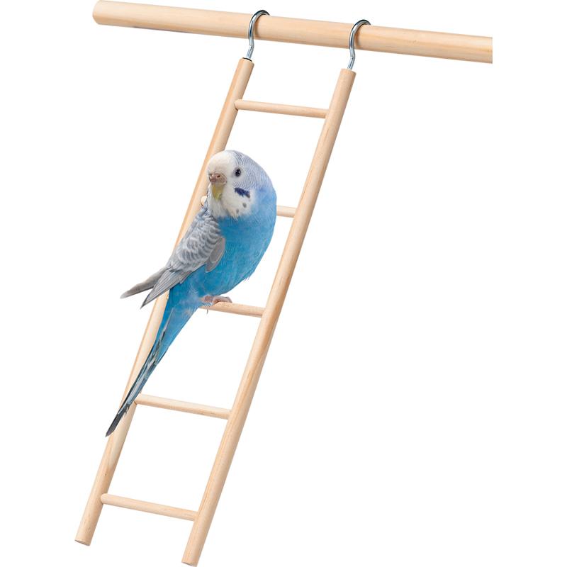 【セット販売】 CASA 小鳥の遊び場 ハシゴ (×6セット) マルカン