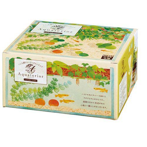 【セット販売】 アクアテリア メダカ用 KGN190 (×2セット) 水作