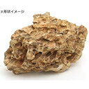 【セット販売】 カミハタ アクアリウムロック 気孔石 大 (×4セット) 神畑養魚用品