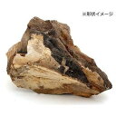【セット販売】 カミハタ アクアリウムロック 木化石 大 (×4セット) 神畑養魚用品