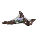 【セット販売】 GEX(ジェックス) 天然流木 M (×6セット)