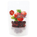 【ケース販売】 Petit Joy ドライフルーツクランベリー (1袋50g入×48袋セット) エースプロダクツ