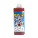 【ケース販売】 コメット 納豆菌入PSB (1本1000ml入 ×12本セット) イトスイ