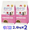 【即納在庫品】 【セット販売】森乳サンワールド おなかラボ 子犬用 2.4kg (×2セット) ドッグフード 乳酸菌