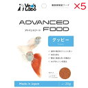 【セット販売】 ジャパンペット アドバンスフード グッピー 20g (×5セット)