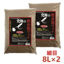 【即納在庫品】 【セット販売】 B-blast 究極の爬虫類マット 細目 8L ×2 爬虫類 両生類 床材 ヤシガラ ビーブラスト