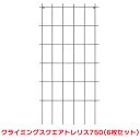 タカショー 『6枚セット価格』 SG-ST75 クライミングスクエアトレリス 750 トレリス 誘引 つる バラ