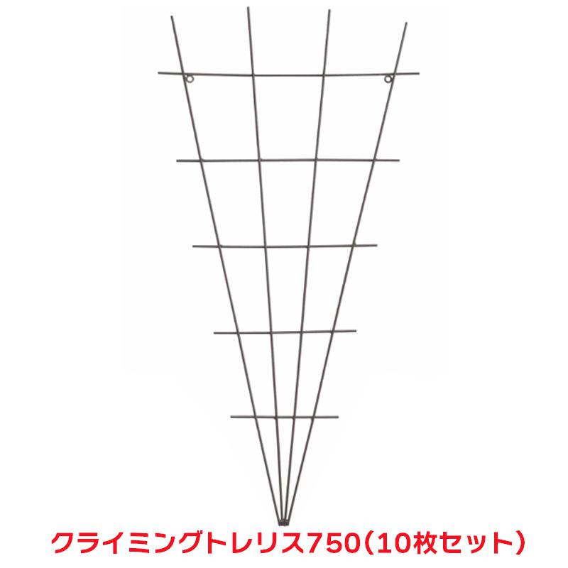 タカショー 『10枚セット価格』 SG-CT75 クライミングトレリス 750 トレリス 誘引 つる バラ