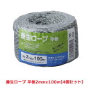 タカショー 『4個セット価格』 養生ロープ 2mmX100m 平巻 園芸用品 縄 ロープ わら