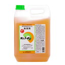 大成農材 サンフーロン 液剤 5L 除草剤 スギナ ササ ジェネリック除草剤