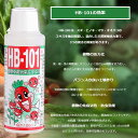 hcvalor-eshop:16639986のサンプル画像2