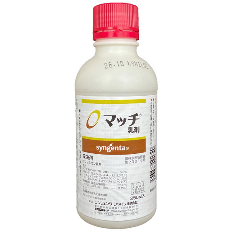 VWF^Wp }b` 250mL _Ɩi E Q쏜 `E