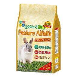 ハイペット 小動物 小動物フードの主食 パスチャーアルファルファ 400g ペット用品