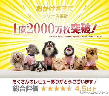 国産 ペットシーツ 厚型ペットシーツ ワイド 200枚 ペットシート 国内生産 無香料 ※他の商品と一緒に注文できません