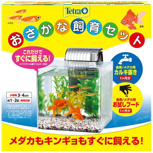 めだか 金魚 スペクトラム ブランズ ジャパン 観賞魚 観賞魚用 水槽 ＃73115 テトラ ミニアクアリウムおさかな飼育セット PL-17OS