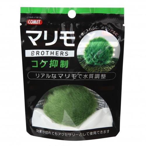 マリモブラザーズ コケ抑制マリモ COMET イトスイ