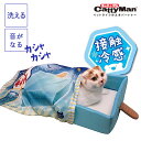 【即納在庫品】 ペット ベッド ペットベッド 接触冷感 クール ひんやり 犬 猫 ベッド 夏用 ソファ 猫用ベット 袋だけでも遊べる カシャカシャ 音が鳴る ド...