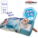 送料無料 ペットベッド キャット 犬 ベッド 小 中型犬用 猫用ベッド ふわふわ ペットマット　犬用品 猫用品 ペット用品 クッション ペットクッション 洗える Lサイズ 楽天海外通販