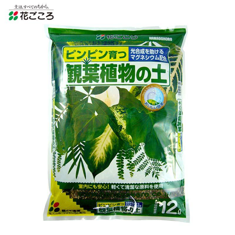 花ごころ 観葉植物の土12L ガーデニング用品 園芸用品 培養土 バーク堆肥 マグネシウム配合 初心者向け 軽い