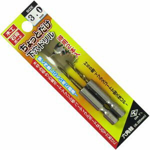 龍宝丸 ちょっとだけ下穴ドリル2本入 3.0MM NO.2127−30