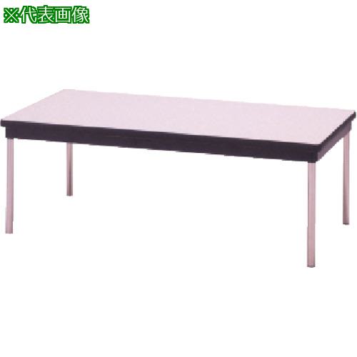 ■MIZUNO 応接テーブル 1200×600mm〔品番:MCT1260〕【1017368:0】[法人・事業所限定][直送元][店頭受取不可]