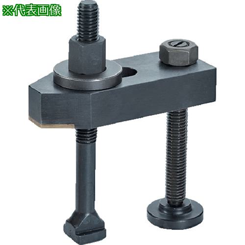 ■HALDER ストラップ 黄銅プレート付 サポートボルト、Tボルト付〔品番:23190.0026〕【1055618:0】[送料別途見積り][掲外取寄][店頭受取不可]