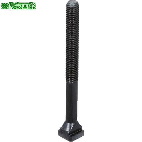 ■HALDER Tボルト DIN 787 強度クラス 10.9 T溝幅12 M12×200〔品番:23030.0124〕【1061366:0】[店頭受取不可]