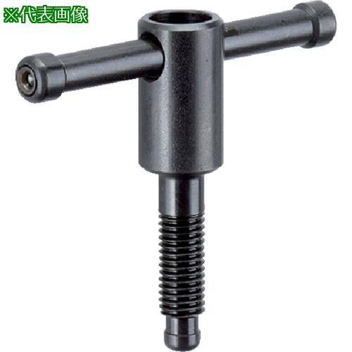 ■HALDER トミースクリュー 形状D〔品番:24500.0016〕【1063420:0】[送料別途見積り][掲外取寄][店頭受取不可]