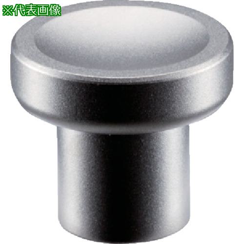 ■HALDER ノブ ローレットなし ステンレス鋼、サンドブラスト〔品番:24520.0109〕【1066528:0】[送料別途見積り][掲外取寄][店頭受取不可]