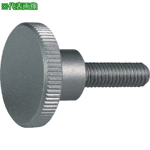 ■HALDER ロングヘッドナールドボルト DIN 464 ステンレス鋼〔品番:24790.0276〕【1069680:0】[送料別途..