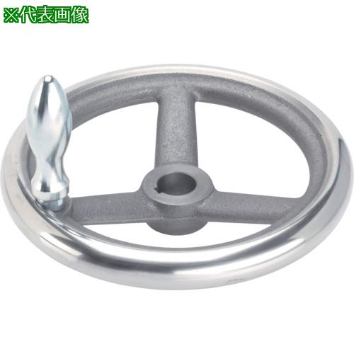 ■HALDER スポークハンドル DIN950 鋳鉄製 キー溝付 N-F G型〔品番:24580.0301〕【1071380:0】[送料別途見積り][掲外取寄][店頭受取不可]