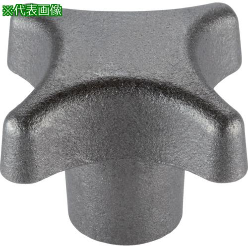 ■HALDER パームグリップ DIN6335、鋳鉄 形状E〔品番:24620.0490〕【1078174:0】[送料別途見積り][掲外取寄][店頭受取不可]