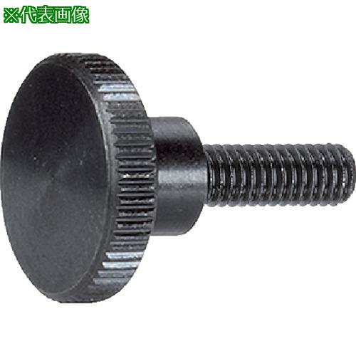 ■HALDER ロングヘッドナールドボルト DIN 464 スチール〔品番:24790.0158〕【1078247:0】[送料別途見積り][掲外取寄][店頭受取不可]