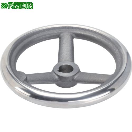 ■HALDER スポークハンドル DIN950 鋳鉄製 キー溝付 N-F A型〔品番:24580.0100〕【1080140:0】[送料別途見積り][掲外取寄][店頭受取不可]