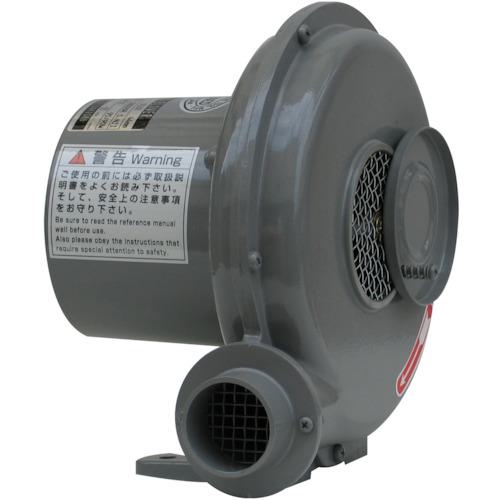 ŵ ư ץ졼ȷ Y꡼ ñ100V (0.045kW):Y2͡1098225:0[ŹƬԲ]