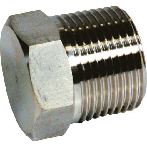 եȥ ϻѥץ饰 50A ƥ쥹 SUS316L:6PUPT50ASU6L͡1116998:0[ӸѤ][ǳ][ŹƬԲ]