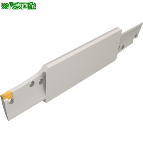 ■イスカル タンググリップIQブレード TNFFH-IQ〔品番:TNFFH80L5IQ〕【1117012:0】[送料別途見積り][掲外取寄][店頭受取不可]