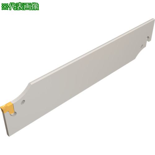  󥰥å ֥졼 TGFH:TGFHL53K12͡1120257:0[ӸѤ][ǳ][ŹƬԲ]