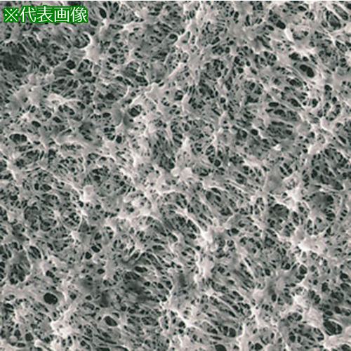 ■SIBATA メンブレンフィルター H100A013A 100入〔品番:064410013100〕【1127755:0】[送料別途見積り][掲外取寄][店頭受取不可]