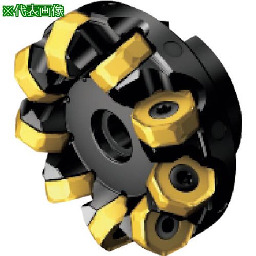 ■SANDVIK コロミル745カッター(450)〔品番:745160Q4021M〕【1236928:0】[送料別途見積り][掲外取寄][店頭受取不可]