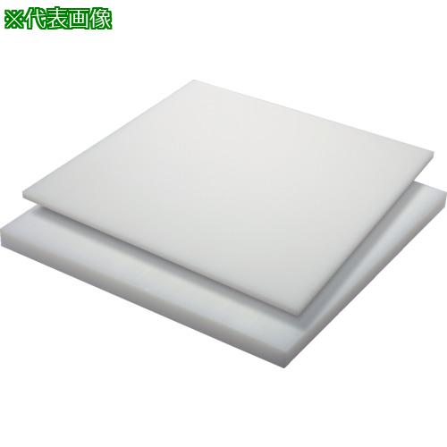 ■タキロン HDPE 70T×500×1000 白〔品番:TPPEPLATE720A705001000〕【1243627:0】[送料別途見積り][法人・事業所限定][外直送][店頭受取不可]