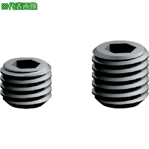 ■富士元 止めネジ〔品番:KH2S〕【1250469:0】[送料別途見積り][掲外取寄][店頭受取不可]