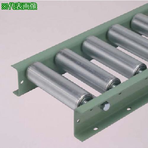 ■タイヨー E5723型スチールローラーコンベヤW100XP100X1500L〔品番:E57231001001500〕【1254869:0】[送料別途見積り][法人・事業所限定][外直送][店頭受取不可]