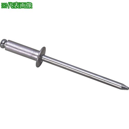■エビ ブラインドリベット(アルミ/アルミ製) 6-6(1000本入) 箱入〔品番:NA66〕【1258800:0】[店頭受取不可]