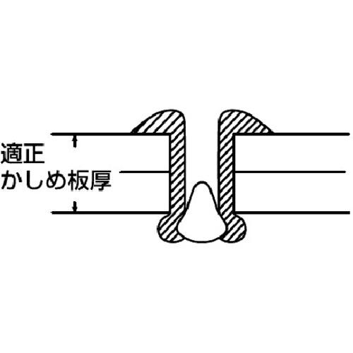 ■エビブラインドリベット(ステンレス/ステンレス製)5-4(1000本入)箱入〔品番:NST54〕【1259466:0】