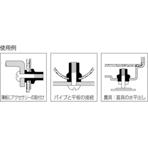 ■エビブラインドナットldquo;エビナットrdquo;(薄頭・ステンレス製)板厚1.5M5times;0.8(200個入)〔品番:NTK5M〕【1259997:0】