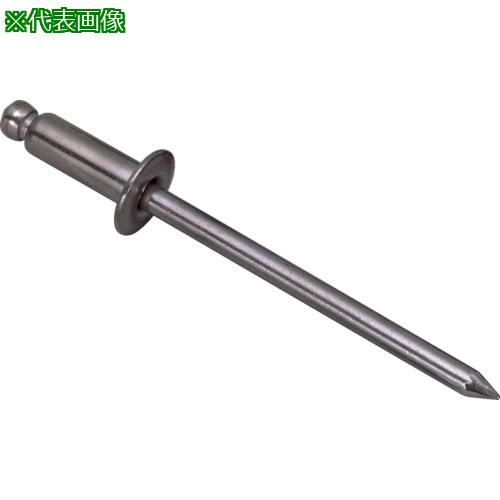 ■エビ ブラインドリベット(スティール/スティール製) 3-4(1000本入) 箱入〔品番:NS34〕【1259148:0】[店頭受取不可]