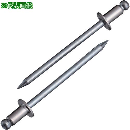 ■エビ ブラインドリベット(ステンレス/スティール製) 4-1(1000本入) 箱入〔品番:NSS41〕【1259181:0】[店頭受取不可]