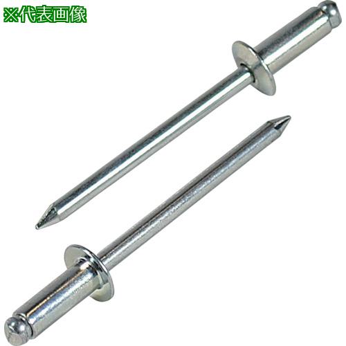 ■エビ ブラインドリベット(スティール/スティール製) 5-8(1000本入) 箱入〔品番:NS58〕【1259539:0】[店頭受取不可]
